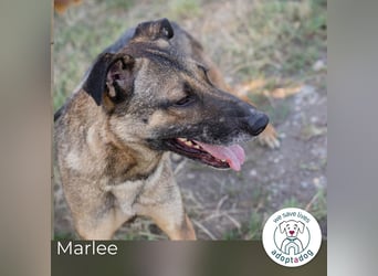 Marlee: Lebensfreude sucht Zuhause
