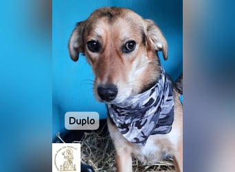 Duplo – leise starten, gemeinsam wachsen!