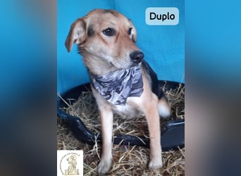 Duplo – leise starten, gemeinsam wachsen!