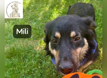 Mili – die perfekte Mischung aus Charme und Charakter!