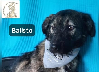 Balisto – vorsichtig? Ja. Langweilig? Ganz sicher nicht!