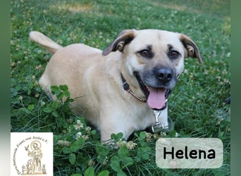 Helena – Schönheit mit Charakter & einem ganz besonderen Lächeln!