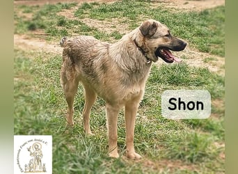 Shon – einmal lächeln, einmal verlieben, dann gemeinsam los ins Abenteuer!