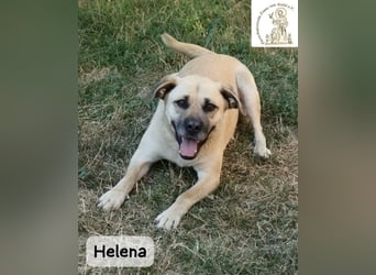Helena – Schönheit mit Charakter & einem ganz besonderen Lächeln!