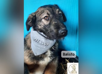Balisto – vorsichtig? Ja. Langweilig? Ganz sicher nicht!