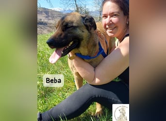 Beba – für Menschen, die das Echte suchen!