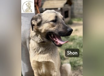 Shon – einmal lächeln, einmal verlieben, dann gemeinsam los ins Abenteuer!