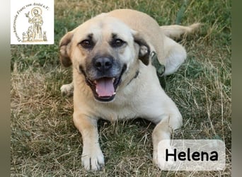 Helena – Schönheit mit Charakter & einem ganz besonderen Lächeln!