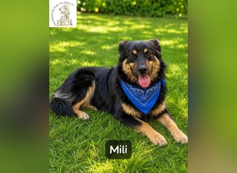 Mili – die perfekte Mischung aus Charme und Charakter!