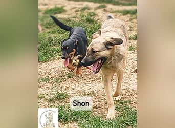 Shon – einmal lächeln, einmal verlieben, dann gemeinsam los ins Abenteuer!