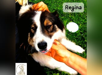 Regina – sie wollte nie allein sein!