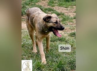 Shon – einmal lächeln, einmal verlieben, dann gemeinsam los ins Abenteuer!