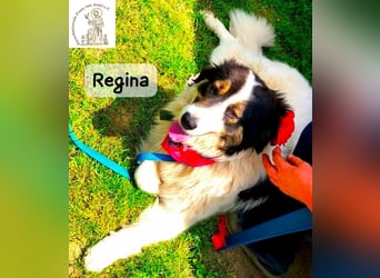 Regina – sie wollte nie allein sein!