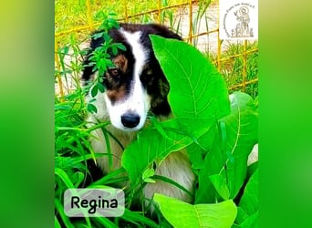 Regina – sie wollte nie allein sein!