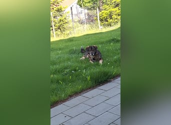 Maggret – angekommen, aufgeblüht und bereit fürs große Glück!