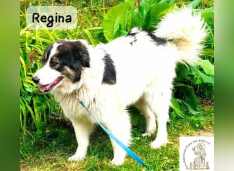 Regina – sie wollte nie allein sein!