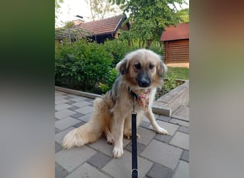 Malta – eine Lady auf dem Weg ins neue Leben!