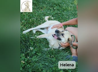 Helena – Schönheit mit Charakter & einem ganz besonderen Lächeln!