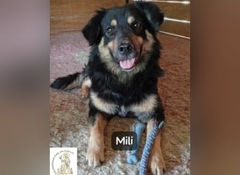 Mili – die perfekte Mischung aus Charme und Charakter!