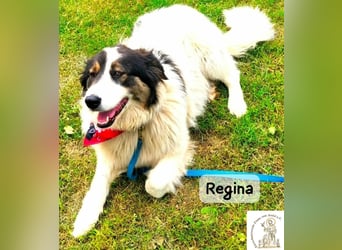 Regina – sie wollte nie allein sein!