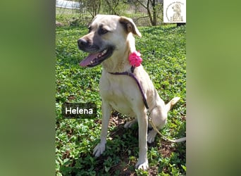 Helena – Schönheit mit Charakter und einem ganz besonderen Lächeln!