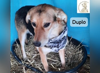 Duplo – leise starten, gemeinsam wachsen!