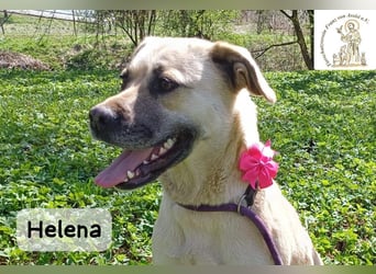 Helena – Schönheit mit Charakter und einem ganz besonderen Lächeln!