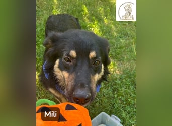 Mili – die perfekte Mischung aus Charme und Charakter!