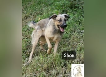 Shon – einmal lächeln, einmal verlieben, dann gemeinsam los ins Abenteuer!