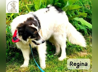 Regina – sie wollte nie allein sein!
