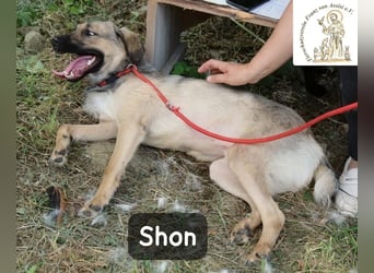 Shon – einmal lächeln, einmal verlieben, dann gemeinsam los ins Abenteuer!