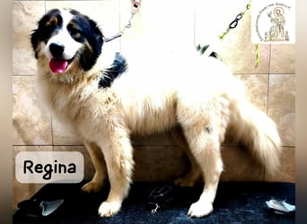 Regina – sie wollte nie allein sein!