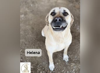 Helena – Schönheit mit Charakter und einem ganz besonderen Lächeln!