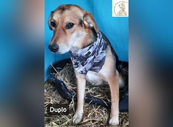Duplo – leise starten, gemeinsam wachsen!