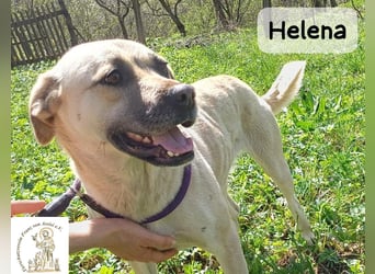 Helena – Schönheit mit Charakter und einem ganz besonderen Lächeln!