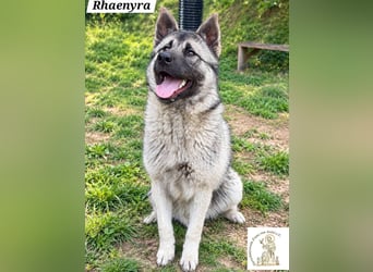Rhaenyra – auffallen kann sie, bleiben möchte sie!