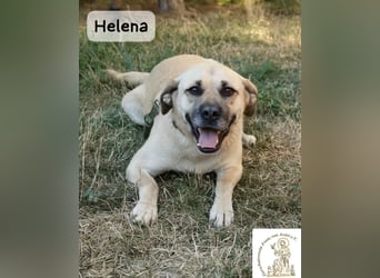 Helena – Schönheit mit Charakter & einem ganz besonderen Lächeln!