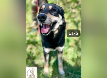 Usko – der, der lernen möchte, wie Leben wirklich geht!