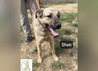 Shon – einmal lächeln, einmal verlieben, dann gemeinsam los ins Abenteuer!