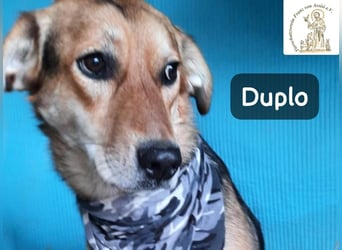 Duplo – leise starten, gemeinsam wachsen!