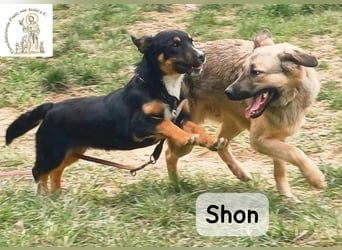 Shon – einmal lächeln, einmal verlieben, dann gemeinsam los ins Abenteuer!