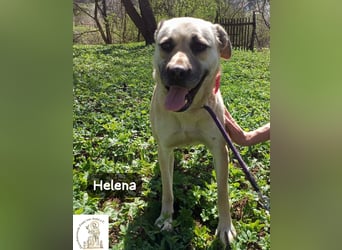 Helena – Schönheit mit Charakter und einem ganz besonderen Lächeln!