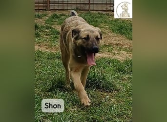 Shon – einmal lächeln, einmal verlieben, dann gemeinsam los ins Abenteuer!