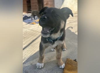 Aufgeschlossene Ruby sucht ihre Familie