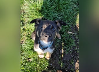 Aufgeschlossene Ruby sucht ihre Familie