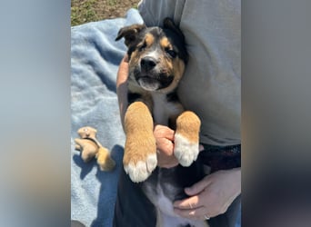 Süße Jördis sucht ihr Familie