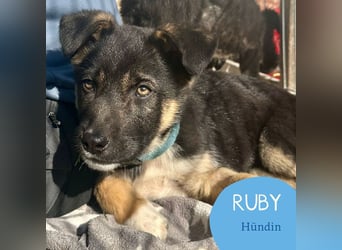 Aufgeschlossene Ruby sucht ihre Familie
