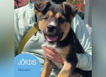 Süße Jördis sucht ihr Familie