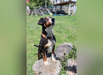 Liebevolle Maila sucht ihre Familie