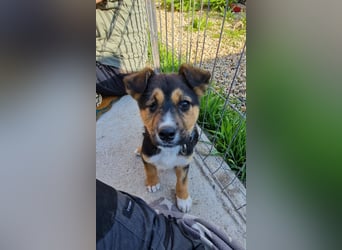 Süße Jördis sucht ihr Familie